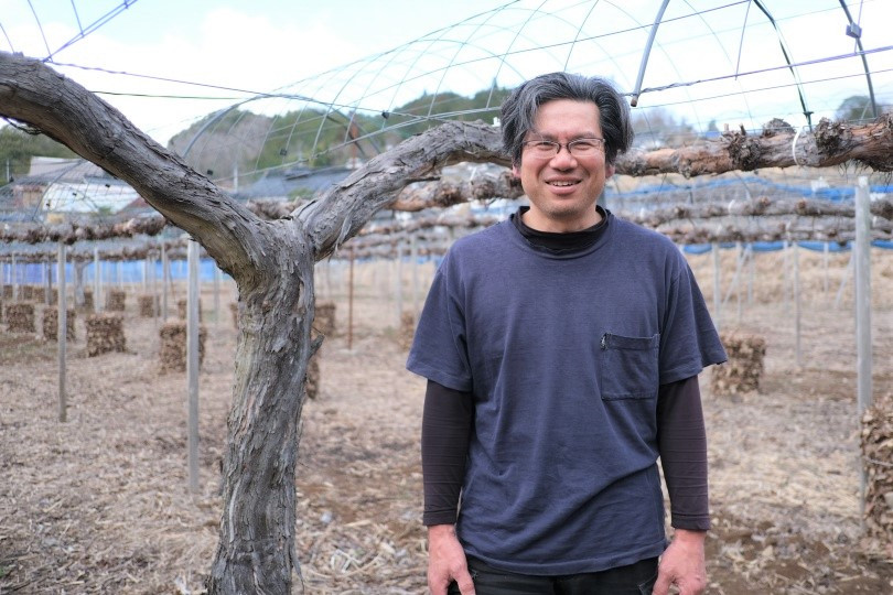 ぶどうの産地、新見市豊永にある中川農園。ブドウの成長を優しく見守る中川園主から農家直送でお届けします！