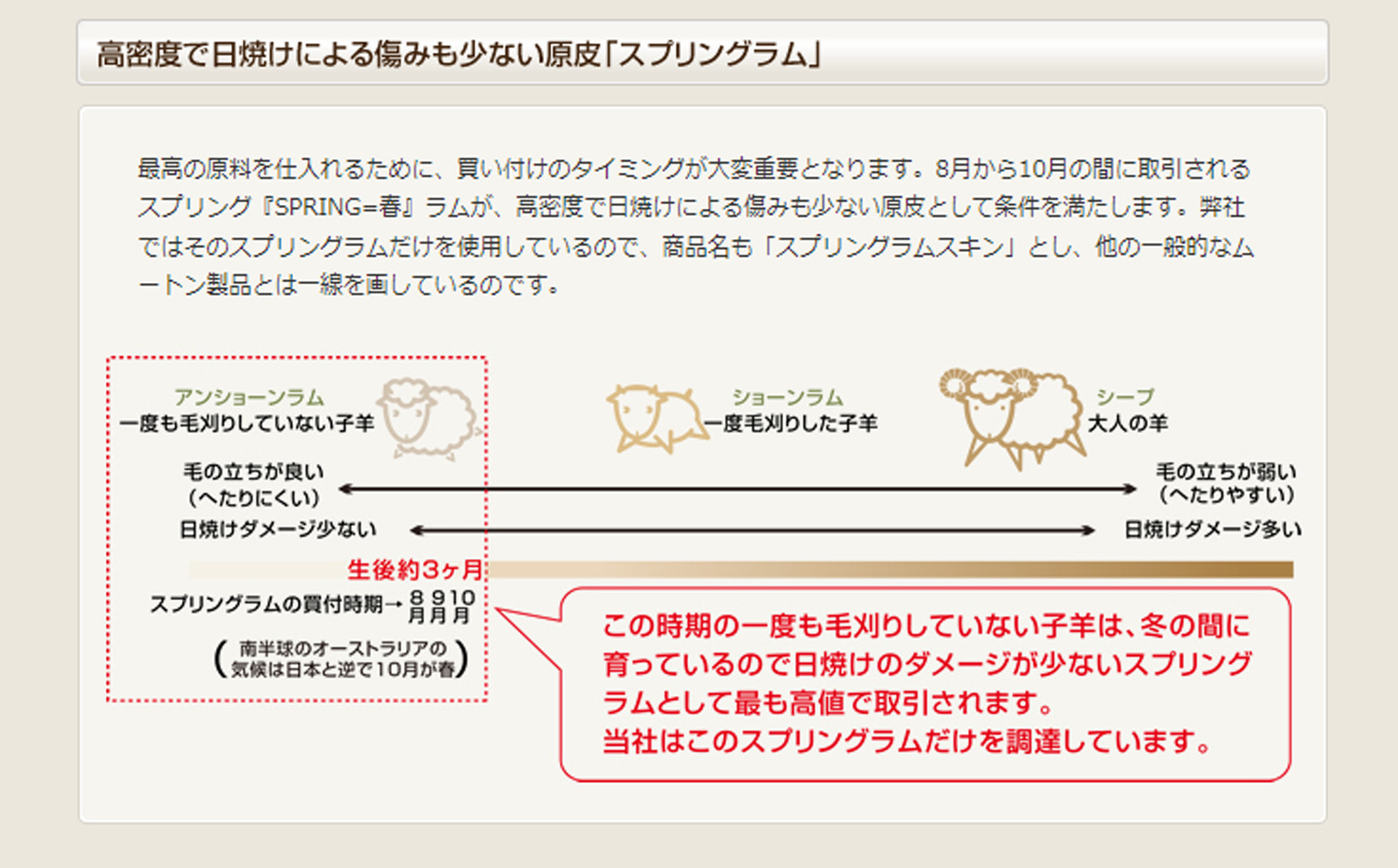 画像はイメージです。