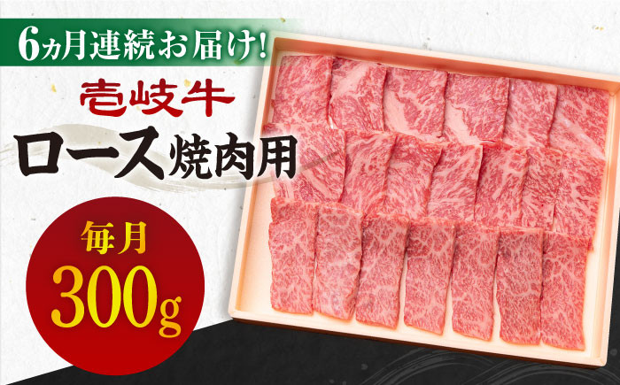 ステーキ 人気 和牛  壱岐牛 希少 柔らかい やわらかい 贈り物 ギフト  肉