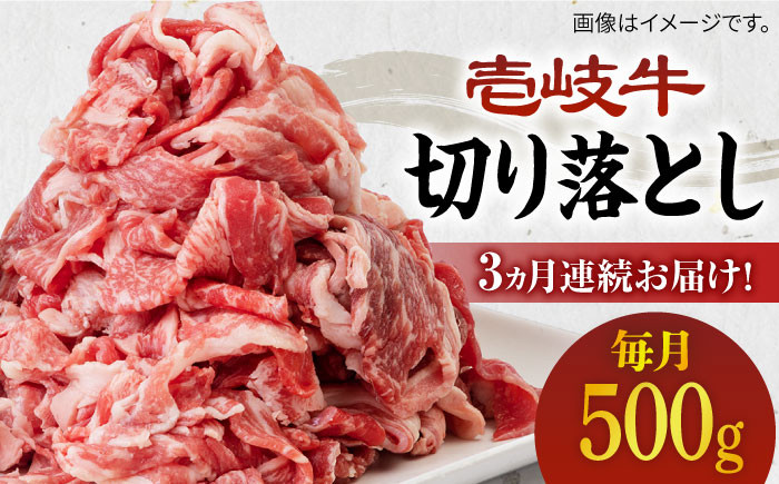 ステーキ 人気 和牛  壱岐牛 希少 柔らかい やわらかい 贈り物 ギフト  肉