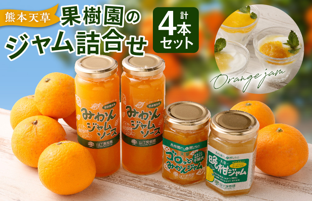 熊本 天草の果樹園 ジャム詰め合わせ みかんジャムソース×2本 不知火ジャム×1本 晩柑×1本 合計 3種 セット