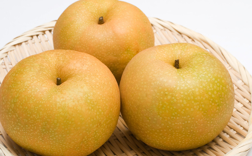 豊水梨 5〜20玉入