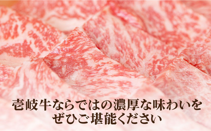 ステーキ 人気 和牛  壱岐牛 希少 柔らかい やわらかい 贈り物 ギフト  肉