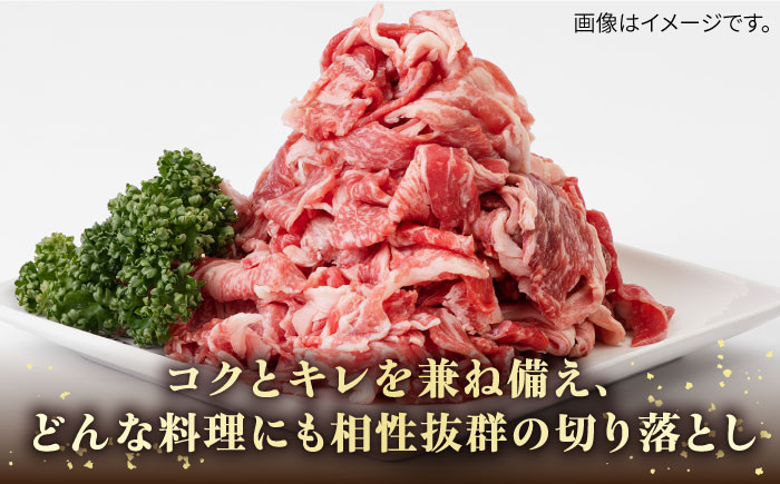ステーキ 人気 和牛  壱岐牛 希少 柔らかい やわらかい 贈り物 ギフト  肉