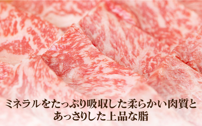 ステーキ 人気 和牛  壱岐牛 希少 柔らかい やわらかい 贈り物 ギフト  肉