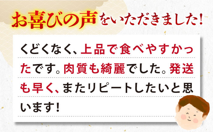 ステーキ 人気 和牛  壱岐牛 希少 柔らかい やわらかい 贈り物 ギフト  肉