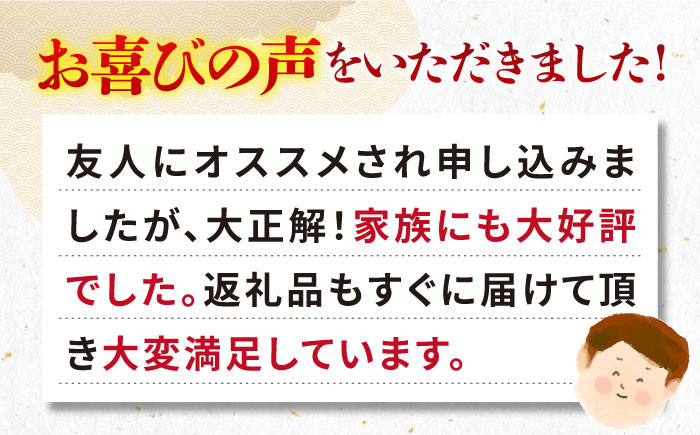 ステーキ 人気 和牛  壱岐牛 希少 柔らかい やわらかい 贈り物 ギフト  肉