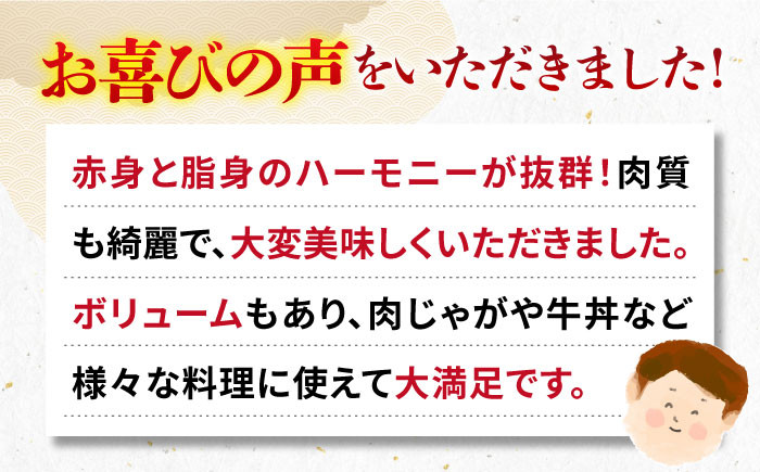 ステーキ 人気 和牛  壱岐牛 希少 柔らかい やわらかい 贈り物 ギフト  肉