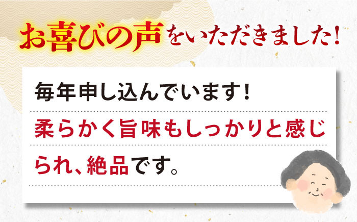ステーキ 人気 和牛  壱岐牛 希少 柔らかい やわらかい 贈り物 ギフト  肉