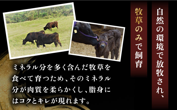 ステーキ 人気 和牛  壱岐牛 希少 柔らかい やわらかい 贈り物 ギフト  肉