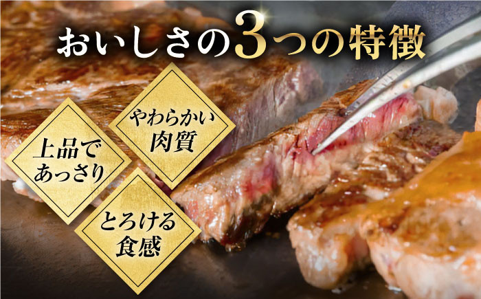 ステーキ 人気 和牛  壱岐牛 希少 柔らかい やわらかい 贈り物 ギフト  肉