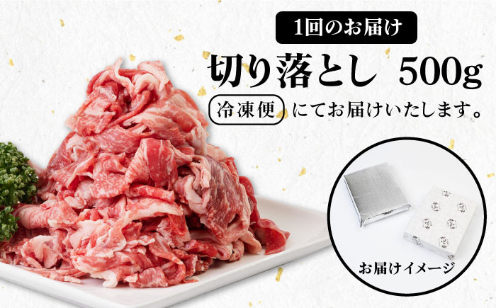 ステーキ 人気 和牛  壱岐牛 希少 柔らかい やわらかい 贈り物 ギフト  肉