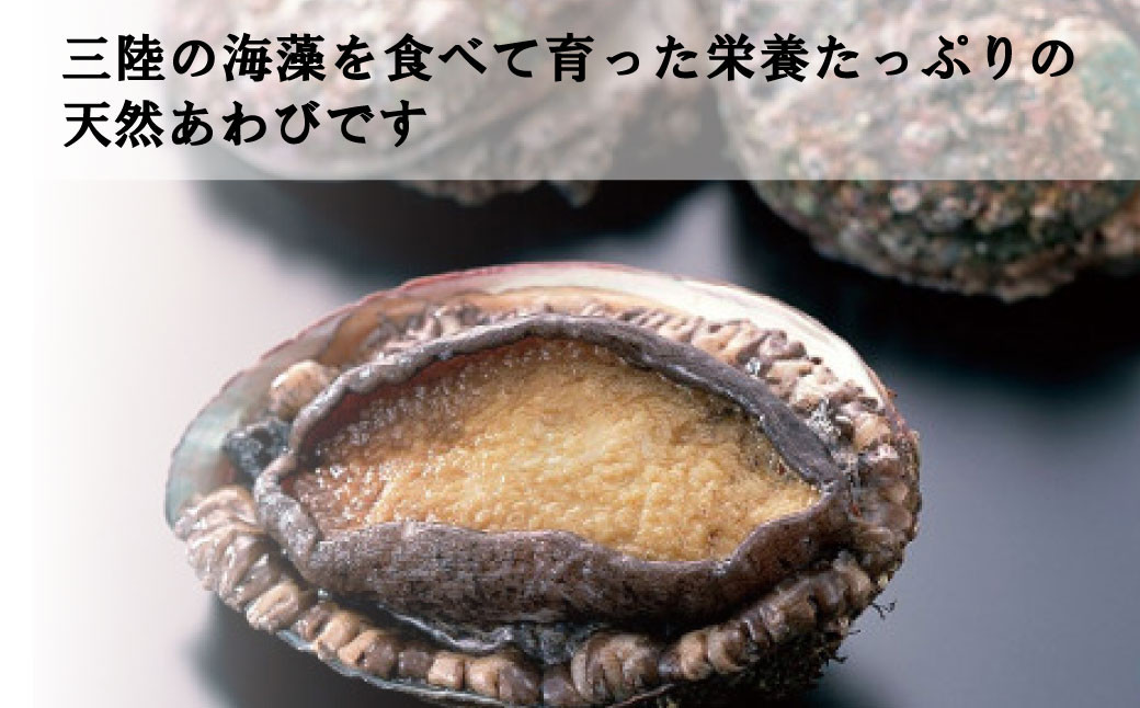 アワビヘラ＆軍手付き！