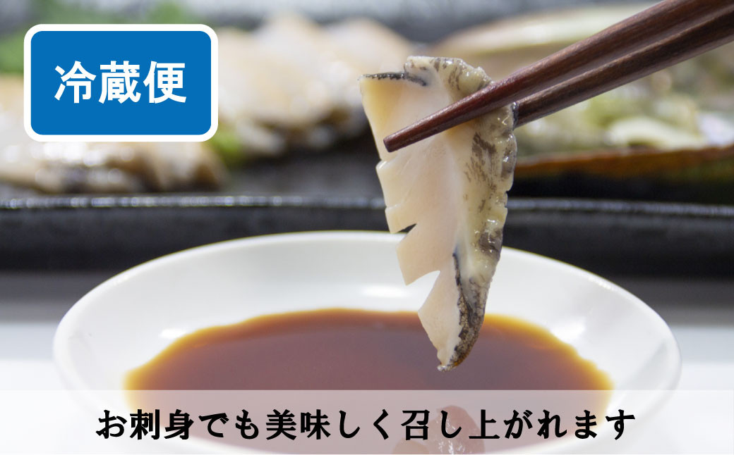 この時期しか味わえない活あわびの旨味をどうぞお楽しみください！