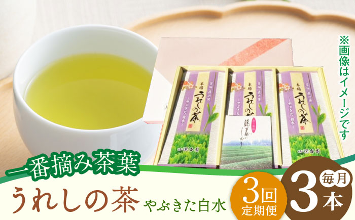 【3回定期便】一番摘み茶葉使用 うれしの茶 3本入（やぶきた 白水 100g×3本）茶 お茶 緑茶 日本茶 煎茶
