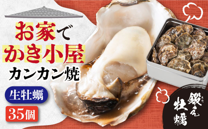 牡蠣 むき身 殻付き かき カキ 生牡蠣 広島牡蠣 オイスター カキフライ 魚介類 貝類 海鮮 広島県産 国産 産地直送