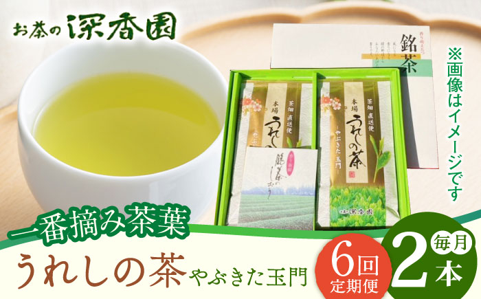 【6回定期便】一番摘み茶葉使用 うれしの茶 2本入（やぶきた 玉門 100g×2本）茶 お茶 緑茶 日本茶 煎茶
