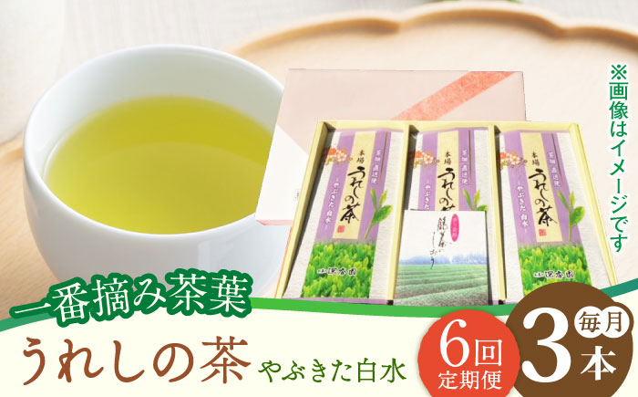 【6回定期便】一番摘み茶葉使用 うれしの茶 3本入（やぶきた 白水 100g×3本）茶 お茶 緑茶 日本茶 煎茶