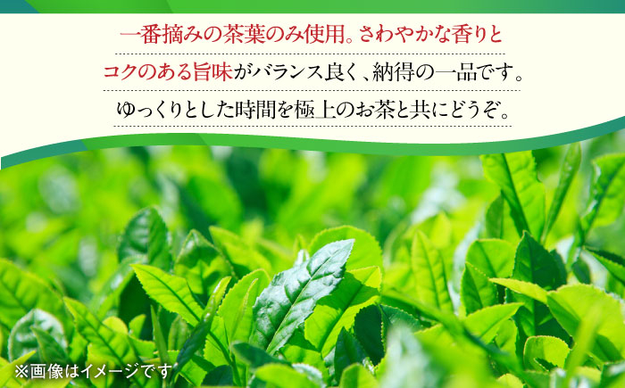 【3回定期便】一番摘み茶葉使用 うれしの茶 2本入(やぶきた 玉門 100g×2本)茶 お茶 緑茶 日本茶 煎茶
