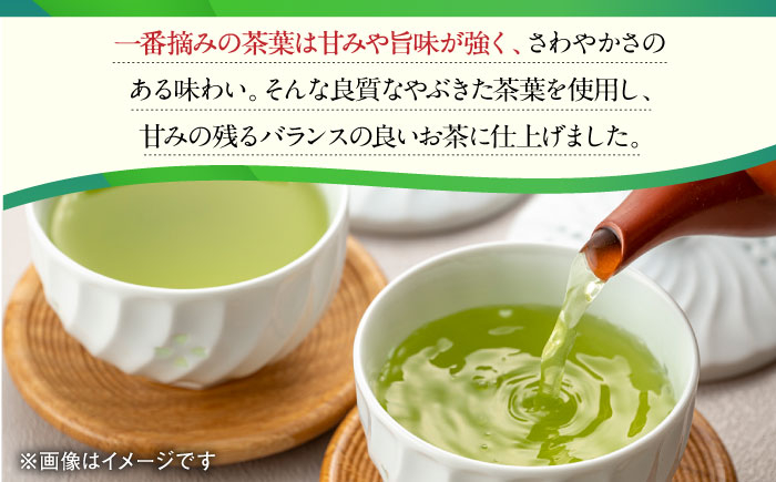 【12回定期便】一番摘み茶葉使用 うれしの茶 3本入(やぶきた 白水 100g×3本) 茶 お茶 緑茶 日本茶 煎茶