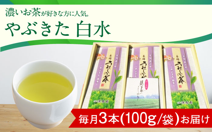 【3回定期便】一番摘み茶葉使用 うれしの茶 3本入（やぶきた 白水 100g×3本）茶 お茶 緑茶 日本茶 煎茶