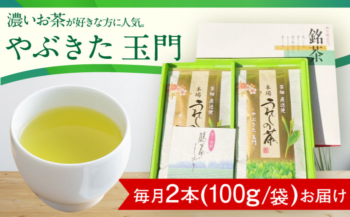 【6回定期便】一番摘み茶葉使用 うれしの茶 2本入（やぶきた 玉門 100g×2本）茶 お茶 緑茶 日本茶 煎茶