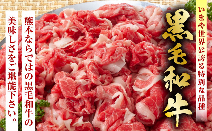 熊本県産 黒毛和牛 切り落とし 計約1kg 牛肉 切り落とし 国産 和牛 ブランド牛 小分け 冷凍 熊本産 山鹿市 送料無料