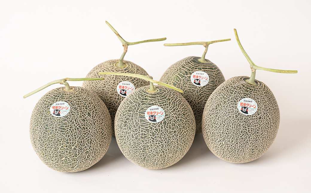 熊本県八代市産 肥後グリーンメロン 7kg 1玉1.6～2kg