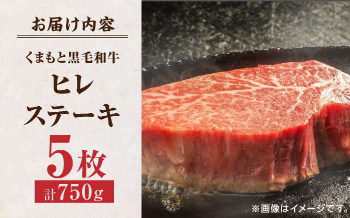 くまもと黒毛和牛 肉 ヒレ ステーキ 人気 牛肉 高級 焼肉 和牛ステーキ 国産 冷凍 アウトドア キャンプ 熊本県 山鹿市