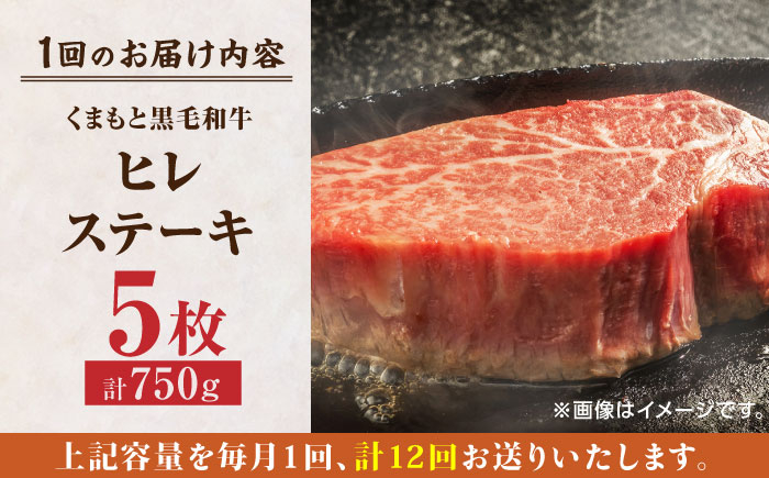 くまもと黒毛和牛 肉 ヒレ ステーキ 人気 牛肉 高級 焼肉 和牛ステーキ 国産 冷凍 アウトドア キャンプ 熊本県 山鹿市
