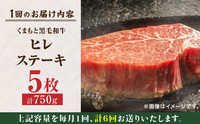 くまもと黒毛和牛 肉 ヒレ ステーキ 人気 牛肉 高級 焼肉 和牛ステーキ 国産 冷凍 アウトドア キャンプ 熊本県 山鹿市