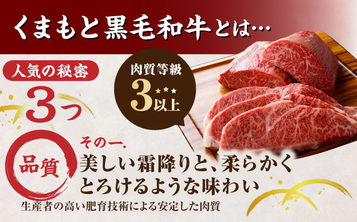 くまもと黒毛和牛 肉 ヒレ ステーキ 人気 牛肉 高級 焼肉 和牛ステーキ 国産 冷凍 アウトドア キャンプ 熊本県 山鹿市