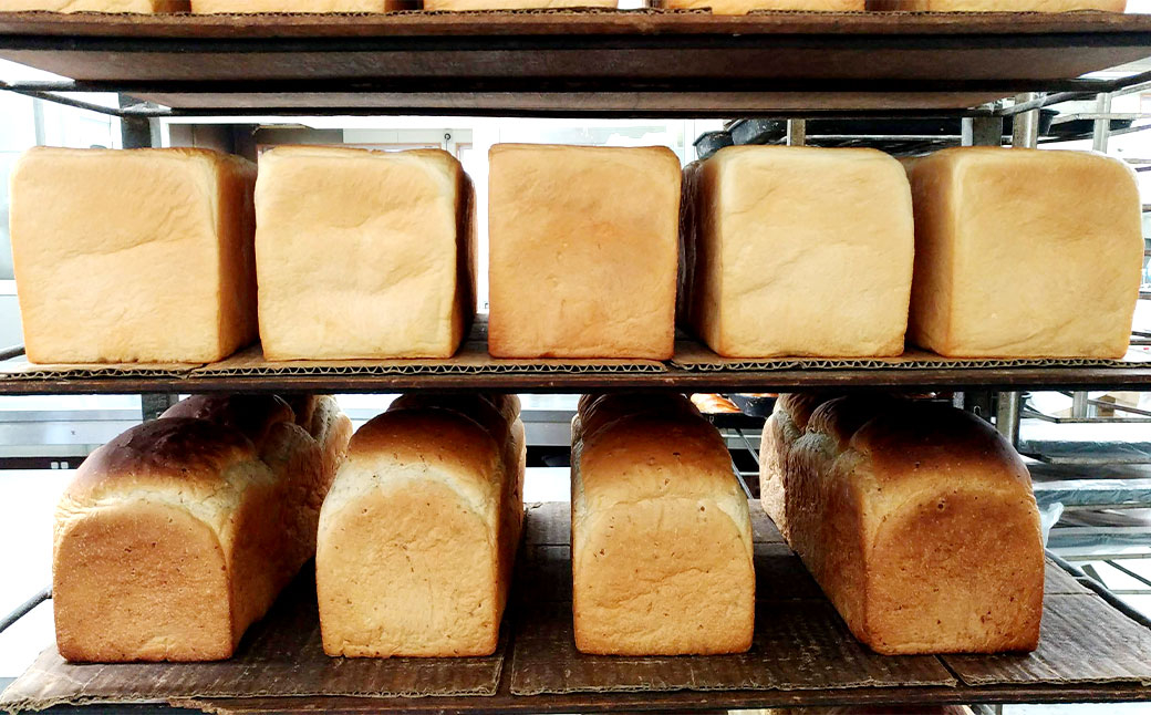 【3ヶ月ごと4回定期便】豆乳食パン、玄米食パン、ブリオッシュ、チョコマーブルの4点セット