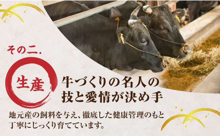 くまもと黒毛和牛 肉 ヒレ ステーキ 人気 牛肉 高級 焼肉 和牛ステーキ 国産 冷凍 アウトドア キャンプ 熊本県 山鹿市