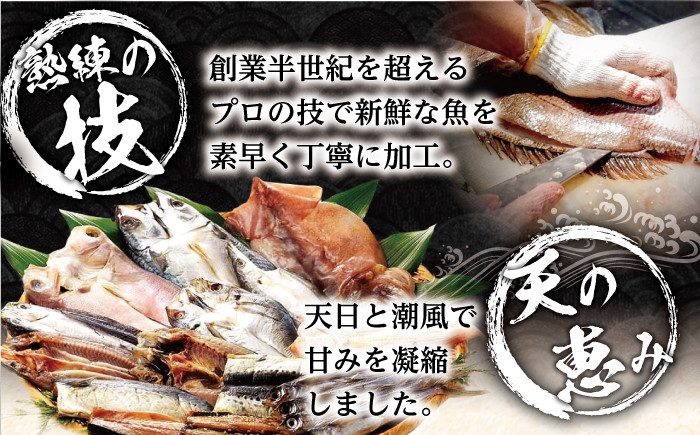 【旨味を凝縮】旬鮮平戸干物種詰合せ（×6回） 平戸市 / 森崎水産 