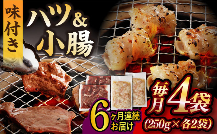 国産 牛肉 ホルモン ほるもん 小腸 しょうちょう 味付き 冷凍 焼肉 焼き肉 牛 チョウ ホルモン焼き 定期便 ていきびん