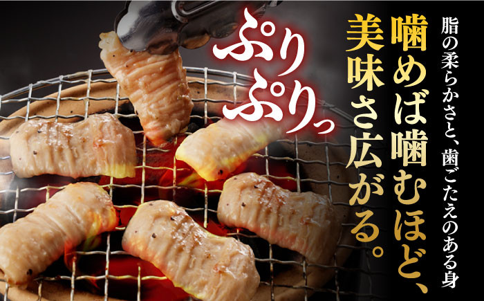 国産 牛肉 ホルモン ほるもん 小腸 しょうちょう 小分け 味付き 冷凍 焼肉 焼き肉 牛 チョウ ホルモン焼き ミックス 焼き