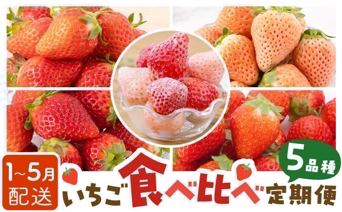 贅沢いちごの詰め合わせ!