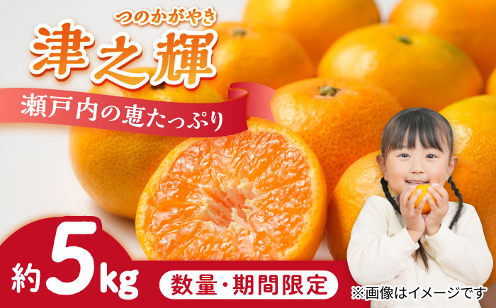 みかん ミカン mikan 柑橘 柑橘類 蜜柑 フルーツ 果物 果実