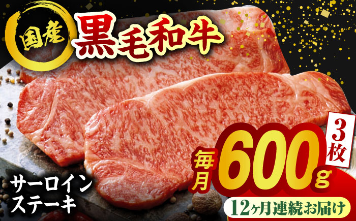 熊本県産 黒毛和牛 サーロイン ステーキ 牛肉 国産 和牛 A4ランク以上 冷凍 ロース 霜降り 高級 九州産 熊本産 山鹿市