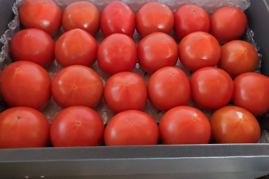 いちばん味がのって美味しい“旬”の時期★２月から６月★にお届けします