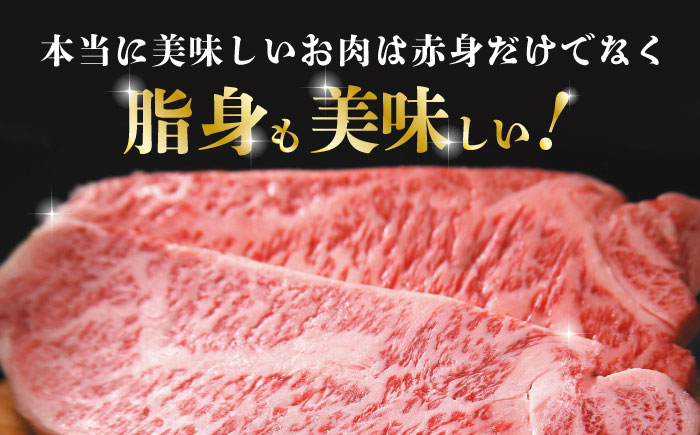 熊本県産 黒毛和牛 サーロイン ステーキ 牛肉 国産 和牛 A4ランク以上 冷凍 ロース 霜降り 高級 九州産 熊本産 山鹿市