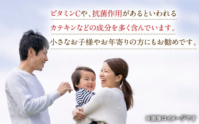 【12回定期便】昔造りの水出し番茶 3袋 茶 お茶 緑茶 日本茶 煎茶 ティーパック ティーバッグ