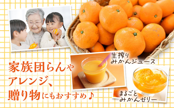 みかん ミカン mikan 柑橘 柑橘類 蜜柑 フルーツ 果物 果実