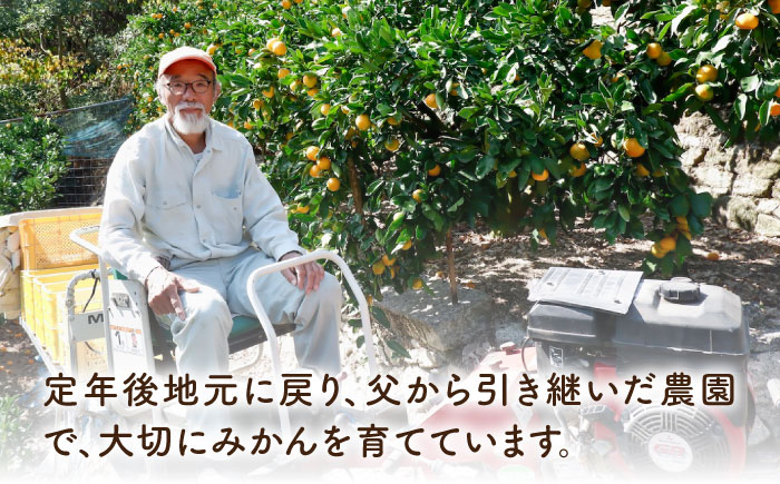みかん ミカン mikan 柑橘 柑橘類 蜜柑 フルーツ 果物 果実