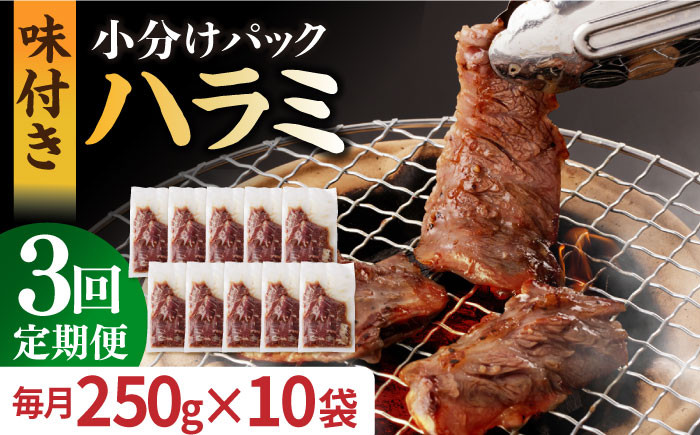 国産 牛肉 ハラミ 牛ハラミ はらみ 小分け 味付き サガリ 焼肉 焼き肉 塩 しお 冷凍 焼肉定期便 ていきびん 定期