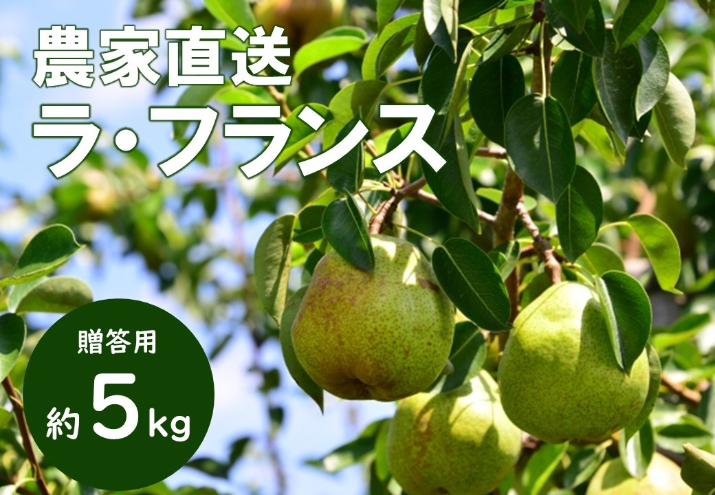 松川町産！ラ・フランス