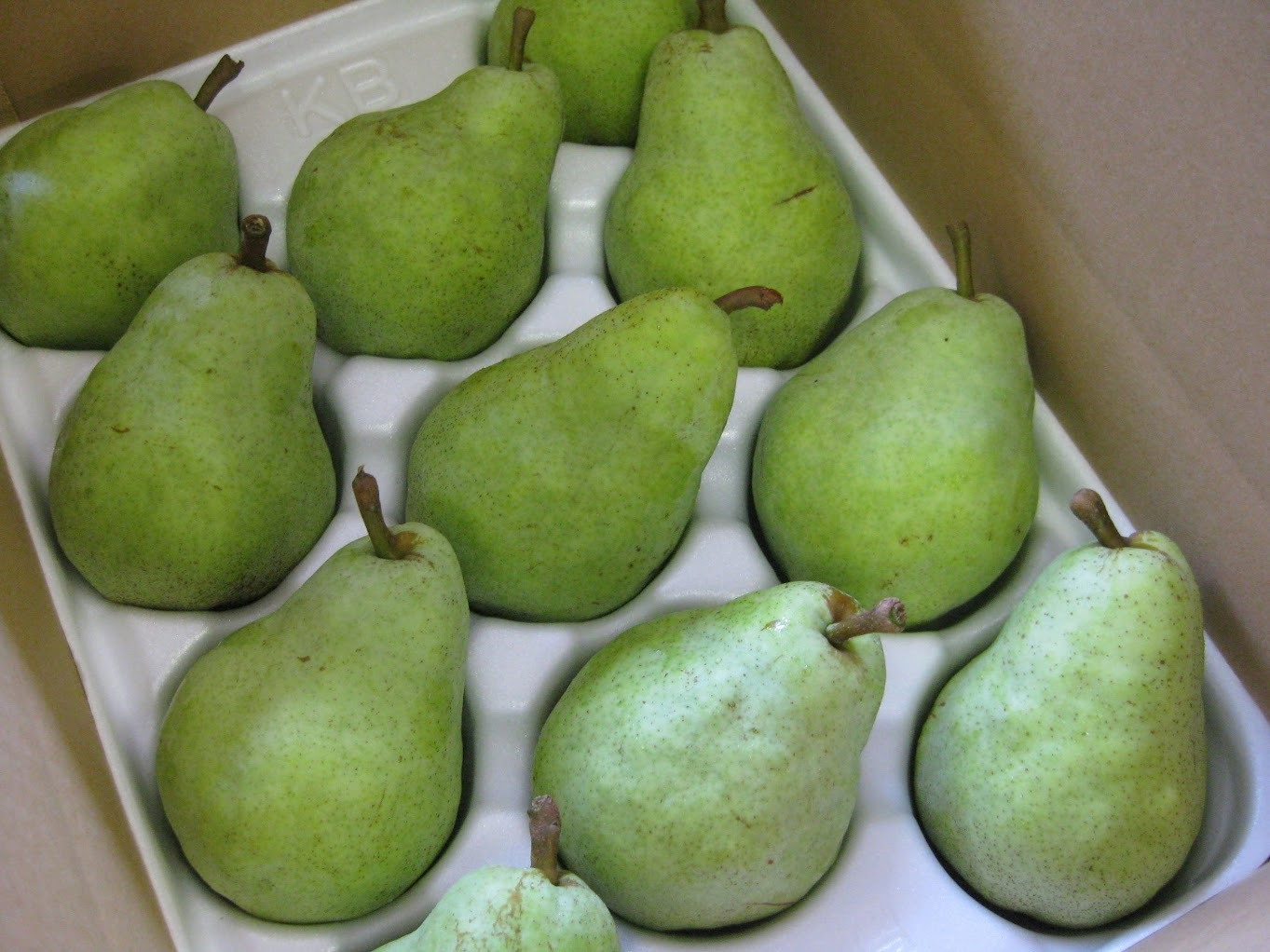 追熟し、果皮が黄緑色から黄色に変わったら食べごろです。