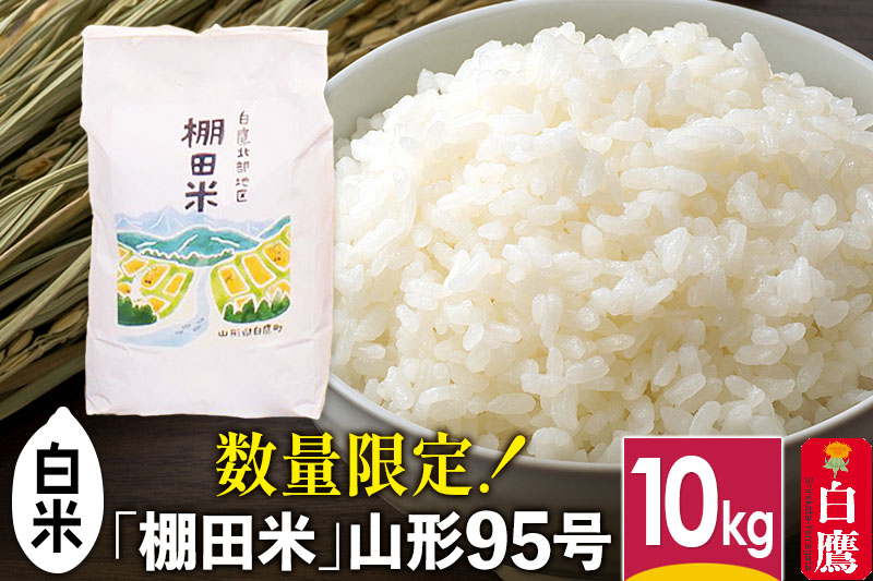 【白米】山形県産 棚田米 白鷹ほまれ 10kg 