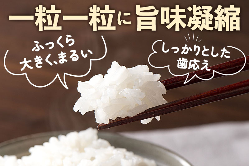 【白米】山形県産 棚田米 白鷹ほまれ 10kg 